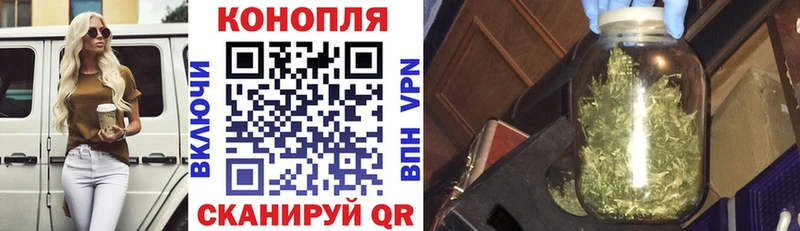 Бошки Шишки гибрид hydra ссылка Белоярский